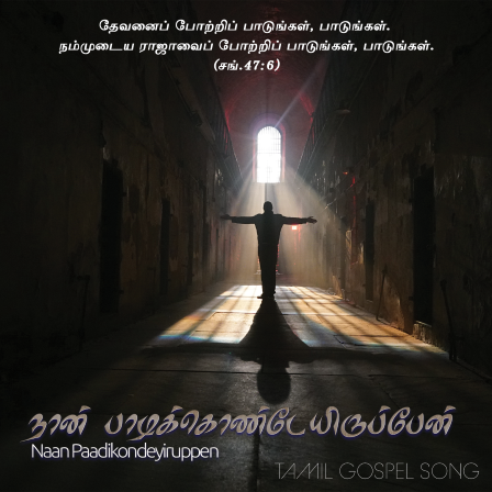 நான் பாடிக்கொண்டேயிருப்பேன்