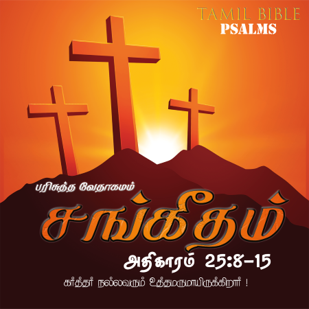 சங்கீதம் – அதிகாரம் 25,8-15