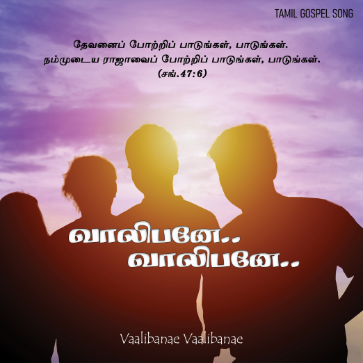 வாலிபனே வாலிபனே