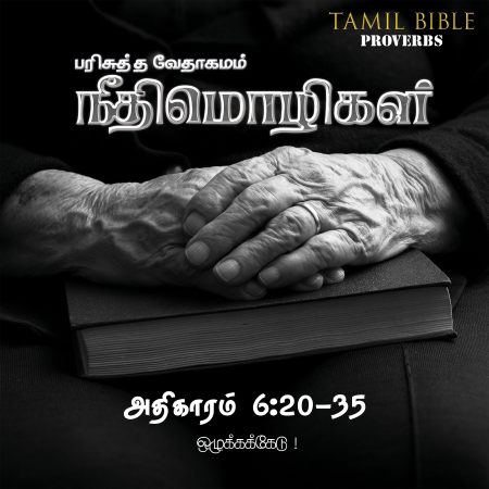நீதிமொழிகள் 6,20-35