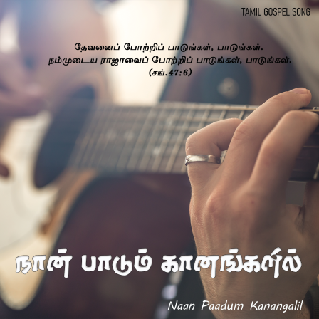நான் பாடும் கானங்களில்