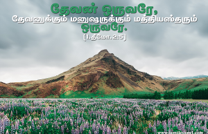 தேவனுக்கும் மனிதனுக்கும் மத்தியஸ்தர் ஒருவரே