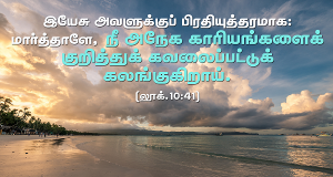 மார்த்தாளே, மார்த்தாளே… நீ கவலைப்பட்டுக் கலங்குகிறாய்