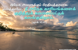 மார்த்தாளே, மார்த்தாளே… நீ கவலைப்பட்டுக் கலங்குகிறாய்