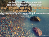 என் அவிசுவாசம் நீங்கும்படி உதவிசெய்யும்