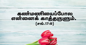 கண்மணிபோல் என்னைக் காத்தருளும்