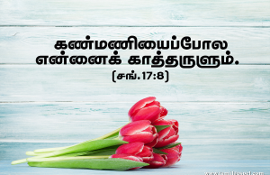 கண்மணிபோல் என்னைக் காத்தருளும்