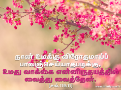 உமது வாக்கை என் இருதயத்தில் வைத்து வைத்தேன்