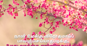 உமது வாக்கை என் இருதயத்தில் வைத்து வைத்தேன்