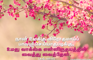 உமது வாக்கை என் இருதயத்தில் வைத்து வைத்தேன்