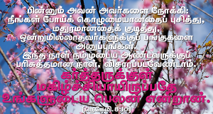 கர்த்தருக்குள் மகிழ்ச்சியாயிருப்பதே உங்களுக்கு நலம்