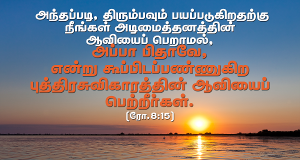 புத்திரசுவிகாரத்தின் ஆவி.