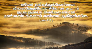 விலையேறப்பெற்ற சீயோன் குமாரர்