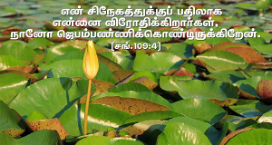 நானோ ஜெபம்பண்ணிக் கொண்டிருக்கிறேன்