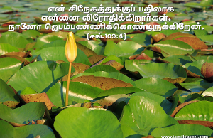 நானோ ஜெபம்பண்ணிக் கொண்டிருக்கிறேன்