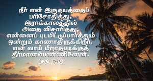 நீர் என்னைப் புடமிட்டுப் பார்த்தீர்