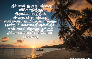 நீர் என்னைப் புடமிட்டுப் பார்த்தீர்