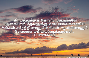 தேவனை மகிமைப்படுத்துங்கள்