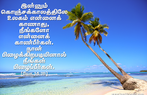 நான் பிழைக்கிறபடியினால் நீங்களும் பிழைப்பீர்கள்