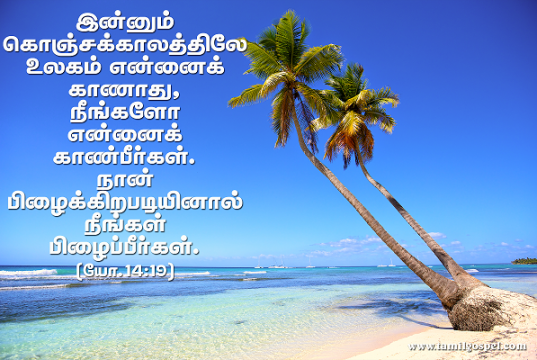 நான் பிழைக்கிறபடியினால் நீங்களும் பிழைப்பீர்கள்