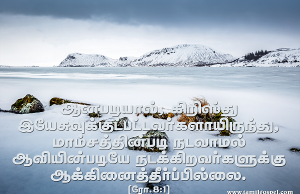 இப்பொழுது ஆக்கினைத்தீர்ப்பில்லை