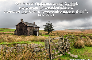 அவர் என் ஆத்துமாவைத் தேற்றுகிறார்