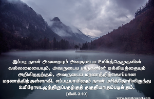 நாம் அவரை அறியும்படியாக