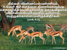 நீங்கள் விண்ணப்பம்பண்ணியும் பெற்றுக்கொள்ளாமல் இருக்கிறீர்கள்