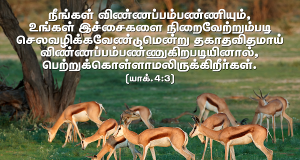 நீங்கள் விண்ணப்பம்பண்ணியும் பெற்றுக்கொள்ளாமல் இருக்கிறீர்கள்