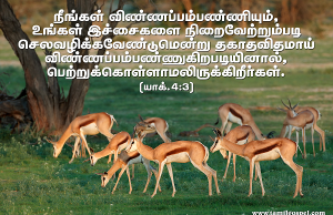 நீங்கள் விண்ணப்பம்பண்ணியும் பெற்றுக்கொள்ளாமல் இருக்கிறீர்கள்