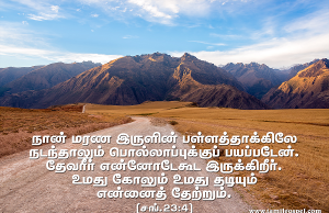 நான் பொல்லாப்புக்குப் பயப்படேன்