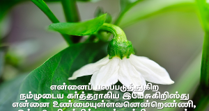 நான் விசுவாசிக்கிறவர் இன்னார் என்று அறிவேன்