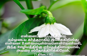 நான் விசுவாசிக்கிறவர் இன்னார் என்று அறிவேன்