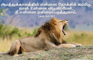 நீ என்னை மகிமைப்படுத்துவாய்