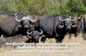 நீங்கள் அசதியாயிராமல்