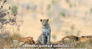 எசேக்கியா மனமேட்டிமையானான்