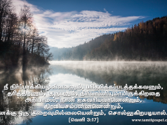 நான் ஐசுவரியவான் என்று சொல்லுகிறாய்