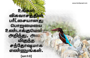 உங்கள் விசுவாசத்தின் பரீட்சையானது பொறுமையை உண்டாக்கும்.