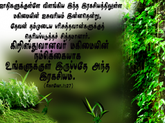 கிறிஸ்துவானவர் மகிமையின் நம்பிக்கையாக உங்களுக்குள் இருக்கிறார்