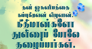 நீதிமான்களோ துளிரைப்போலே தழைப்பார்கள்