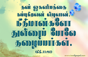 நீதிமான்களோ துளிரைப்போலே தழைப்பார்கள்