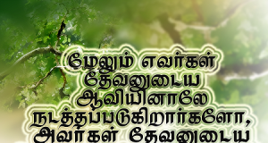 அவர்கள் தேவனுடைய புத்திரராய் இருக்கிறார்கள்