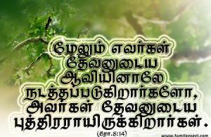 அவர்கள் தேவனுடைய புத்திரராய் இருக்கிறார்கள்