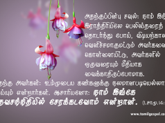 நாம் இங்கே தேவ சந்நிதியில் சேரக் கடவோம்