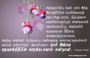 நாம் இங்கே தேவ சந்நிதியில் சேரக் கடவோம்