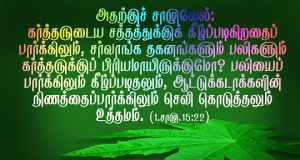 பலியைப் பார்க்கிலும் கீழ்ப்படிதல் உத்தமம்