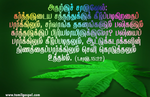 பலியைப் பார்க்கிலும் கீழ்ப்படிதல் உத்தமம்