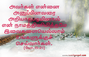 பிதா தாமே உங்களைச் சிநேகிக்கிறார்