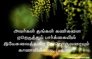 இயேசுவைத் தரவிர வேறொருவரையும் காணவில்லை