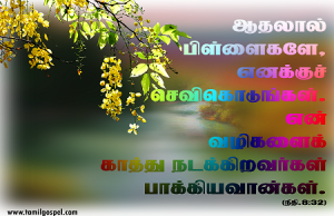 என் வழிகளைக் காத்து நடக்கிறவர்கள் பாக்கியவான்கள்